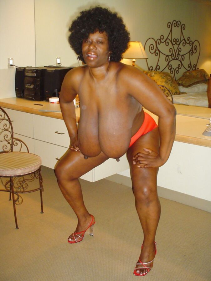 Consider, Busty ebony bbw post Busty ebony bbw post remarkable