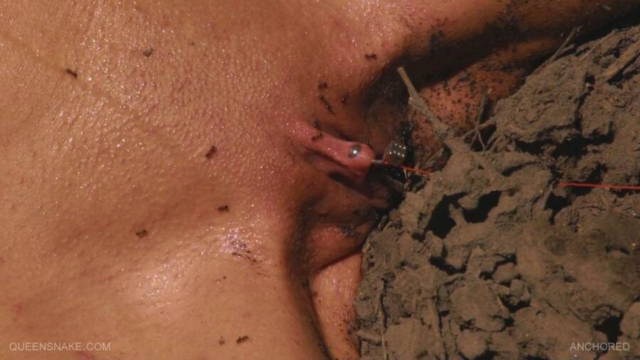 Free porn pics of Well Deserved Ant Torture 10 of 12 pics