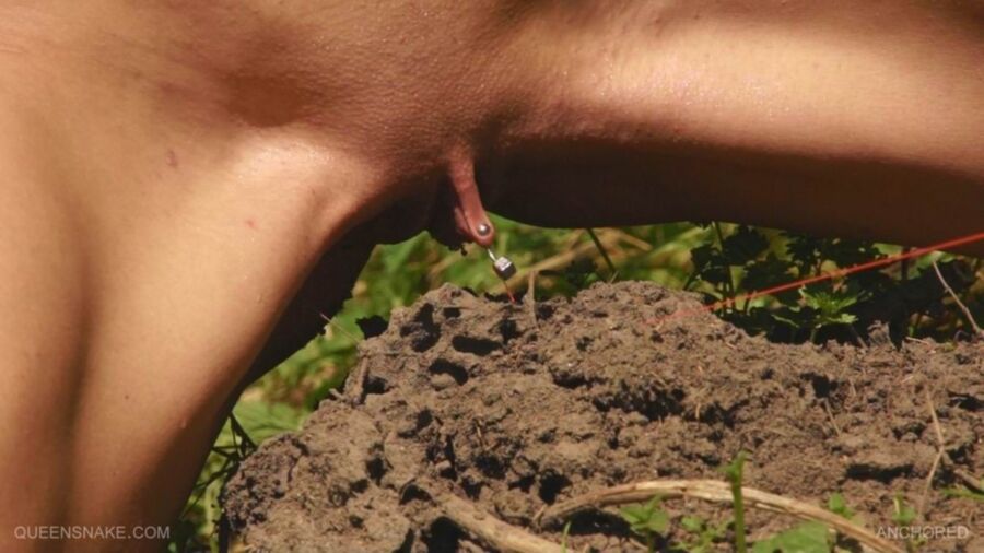 Free porn pics of Well Deserved Ant Torture 2 of 12 pics