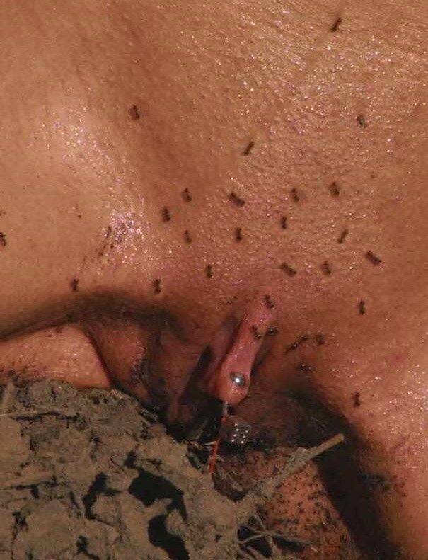 Free porn pics of Well Deserved Ant Torture 12 of 12 pics
