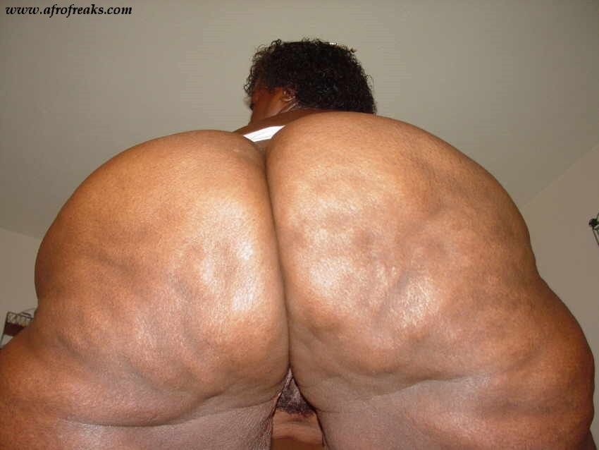 Congratulate, ebony pussy queens porn can recommend Ebony pussy queens porn are