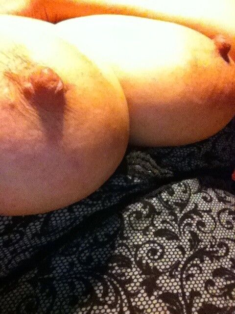 bbw bay area bbw bay area