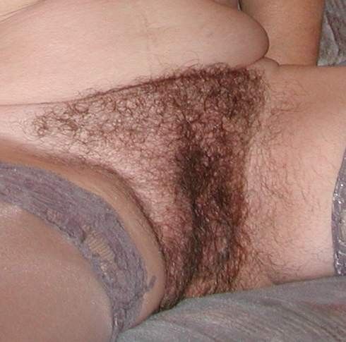 Free porn pics of Hairy Wife 3 of 9 pics