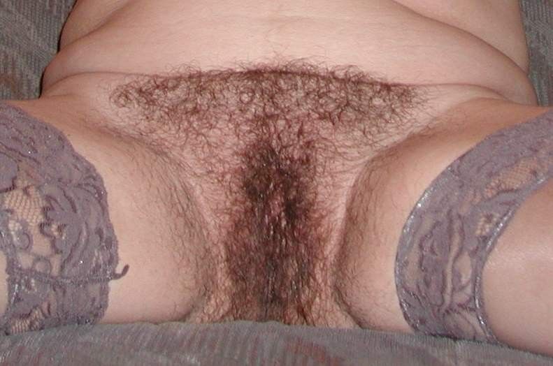 Free porn pics of Hairy Wife 2 of 9 pics