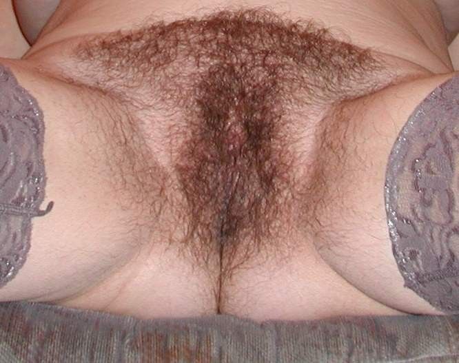 Free porn pics of Hairy Wife 4 of 9 pics