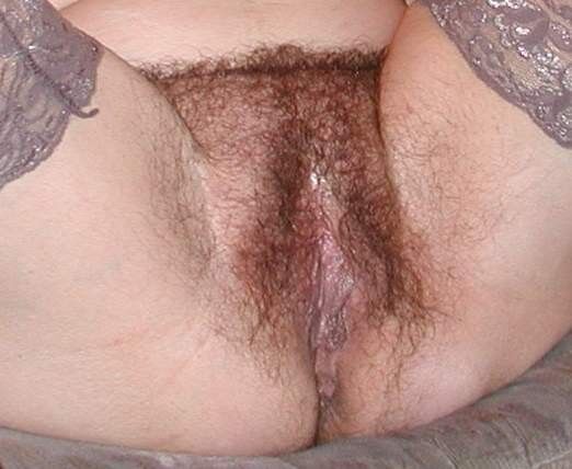 Free porn pics of Hairy Wife 7 of 9 pics